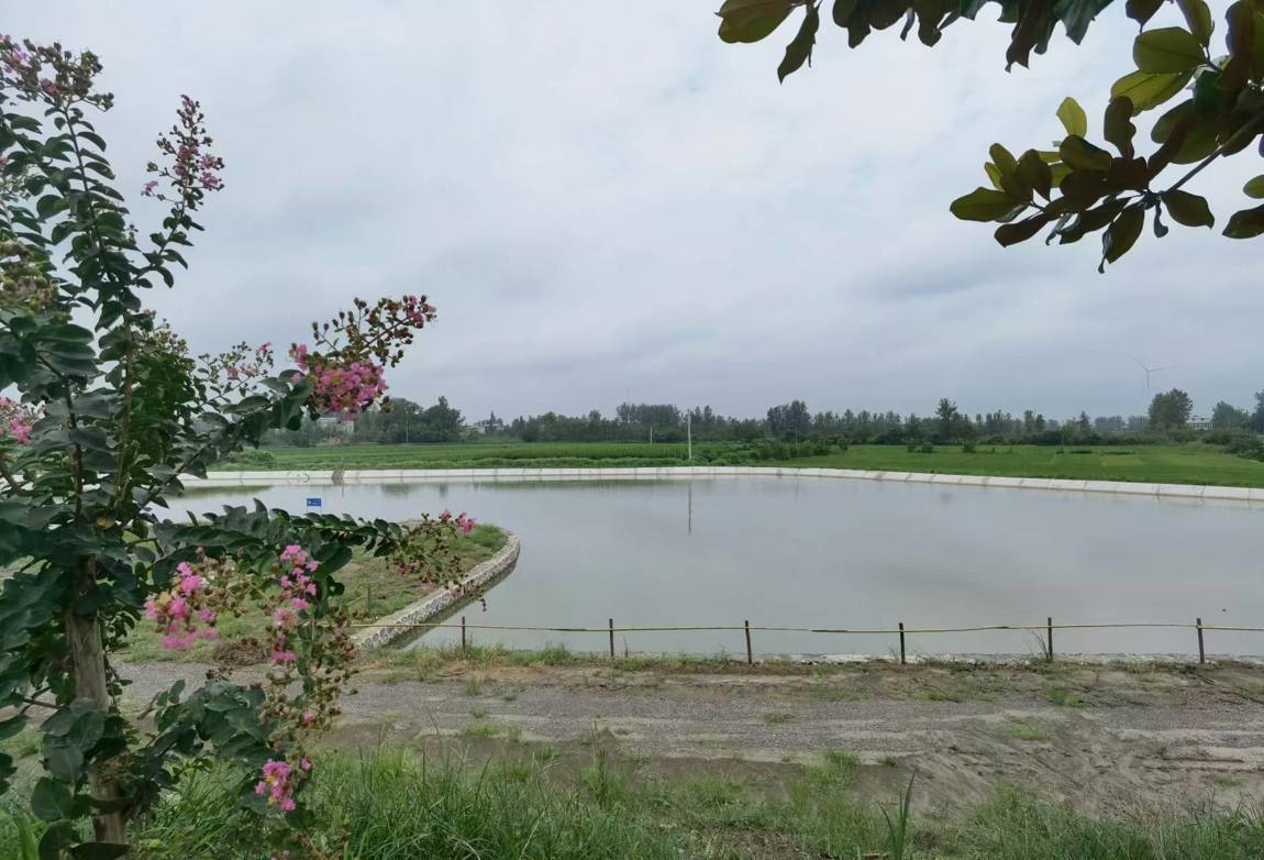 馬灣鎮：挖掘濱湖優勢 精耕特色產業 助力鄉村振興